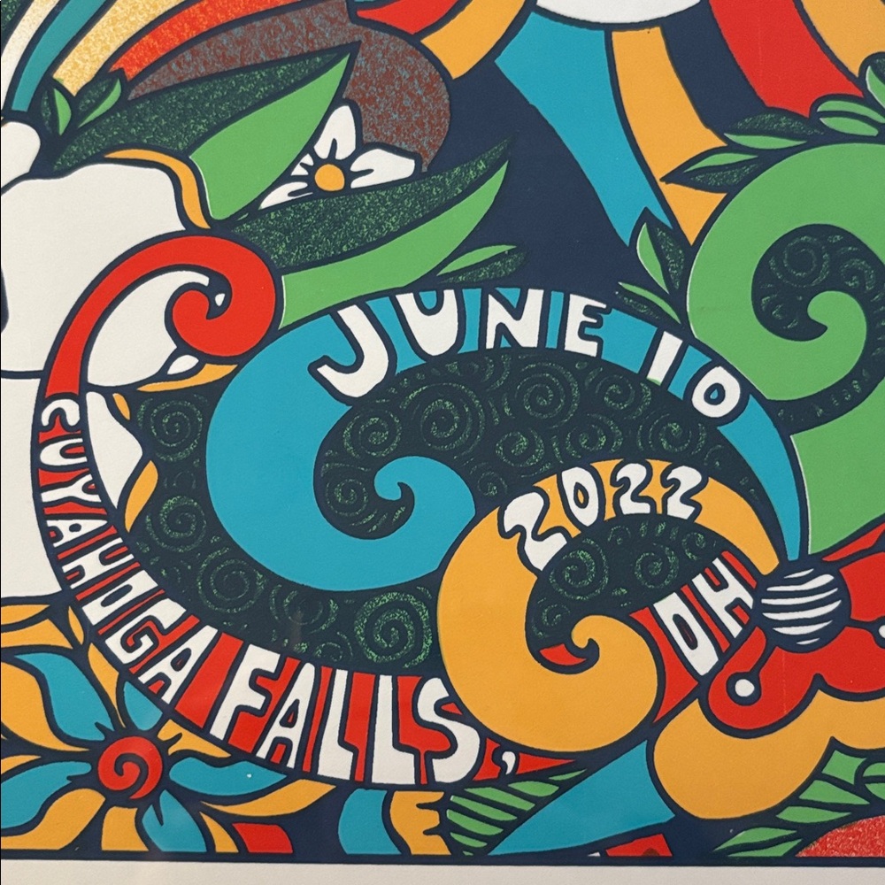 Colorful Dave Matthews Band Poster - Picture 3 of 3